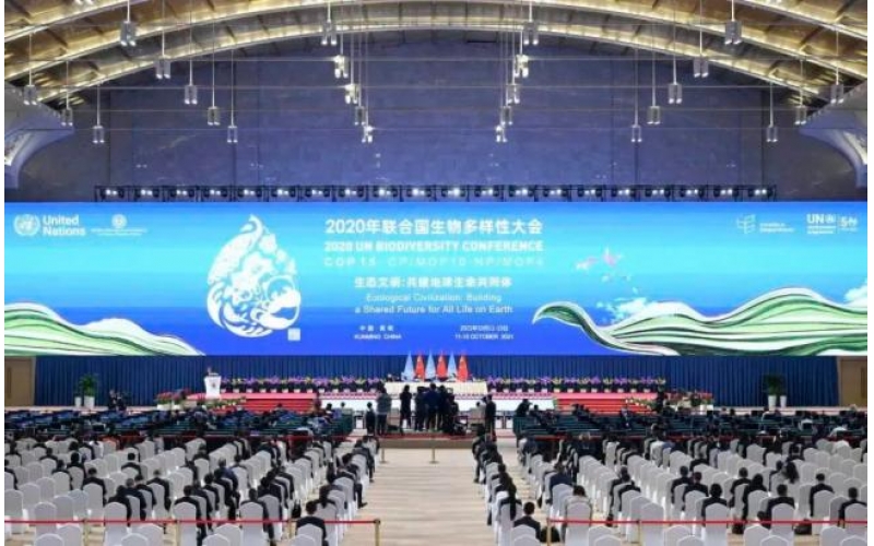 2021年中國OLED行業市場前景及投資研究報告（簡版）